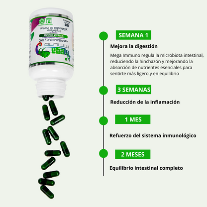 Pack Premium: 2× Mega Immuno + Guía de Hábitos Saludables